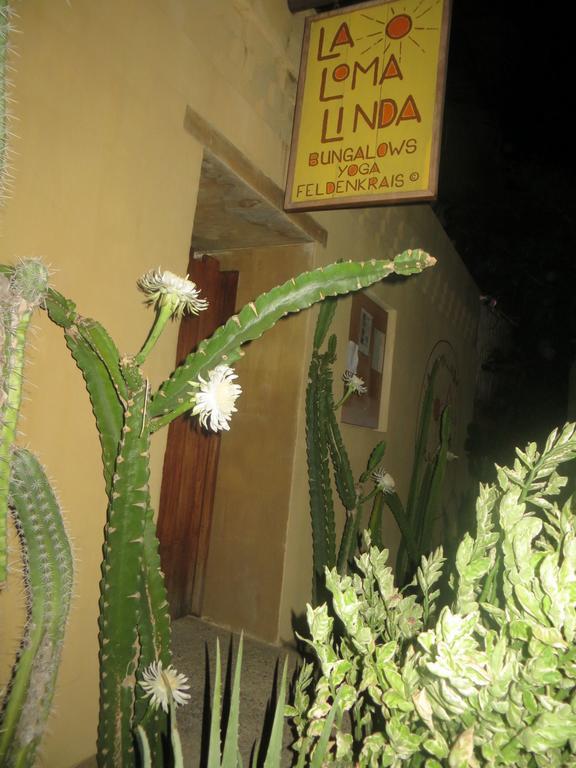 La Loma Linda, Bungalows, Yoga And Feldenkrais, Starlink Internet Zipolite Luaran gambar